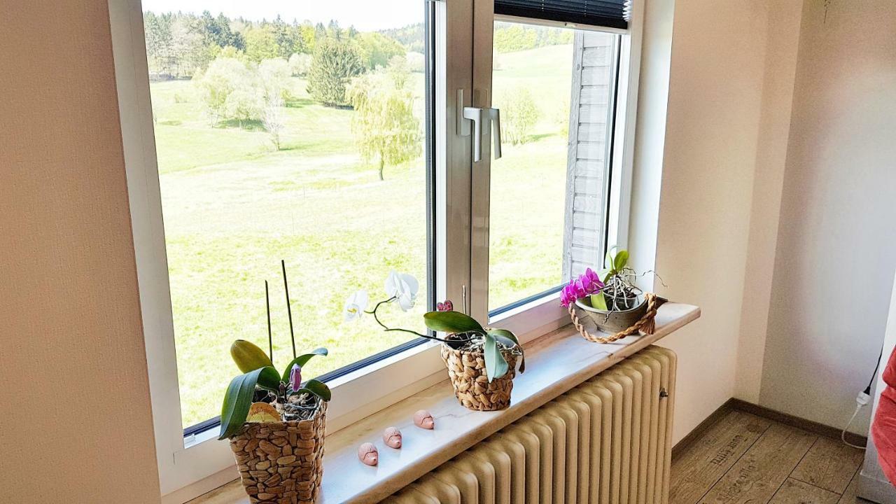 Monis Gemuetliche Ferienwohnungen Suhl Exterior foto